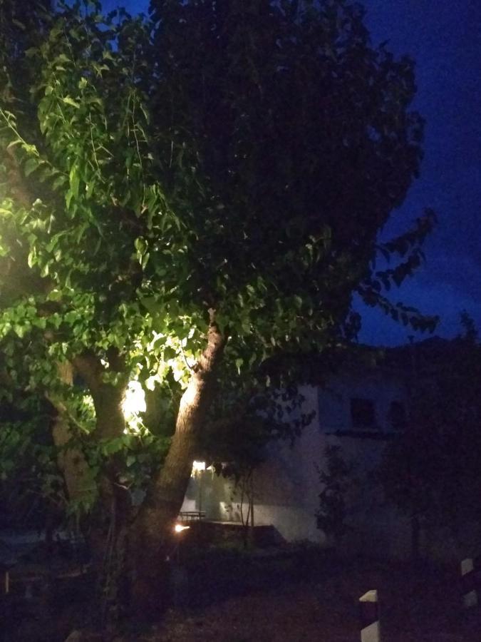 Kalama Apartments Kalamos  Luaran gambar